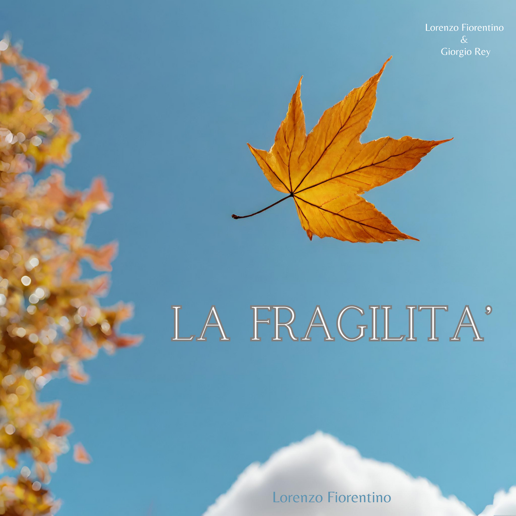 La Fragilità (Singolo)